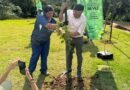 Parque Central passa por Revitalização e recebe Plantio de 300 Árvores