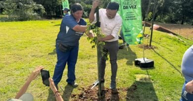 Parque Central passa por Revitalização e recebe Plantio de 300 Árvores
