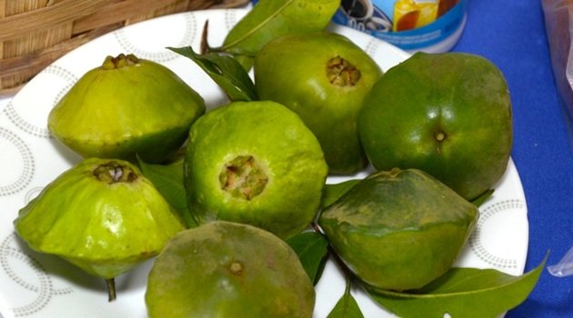 Festival do Cambuci de Paranapiacaba reúne Gastronomia, Cultura e Lazer