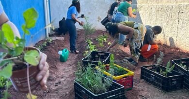 Projeto A3P: Hortas Comunitárias em prédios públicos de Santo André