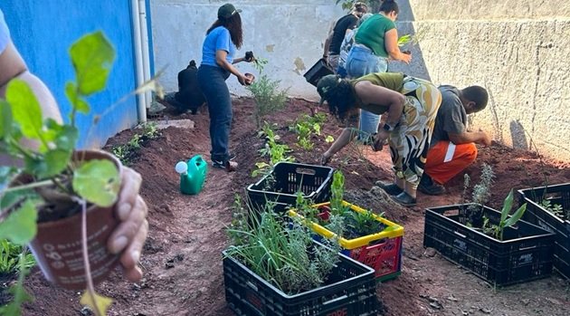 Projeto A3P: Hortas Comunitárias em prédios públicos de Santo André